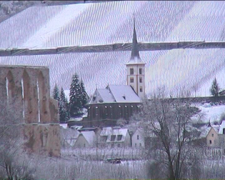 Kleines Winzerhauschen Villa Bremm Oda fotoğraf