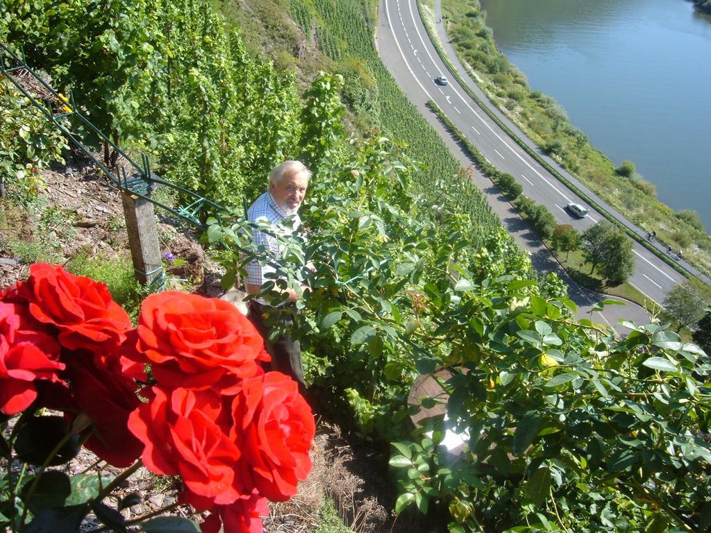Kleines Winzerhauschen Villa Bremm Oda fotoğraf