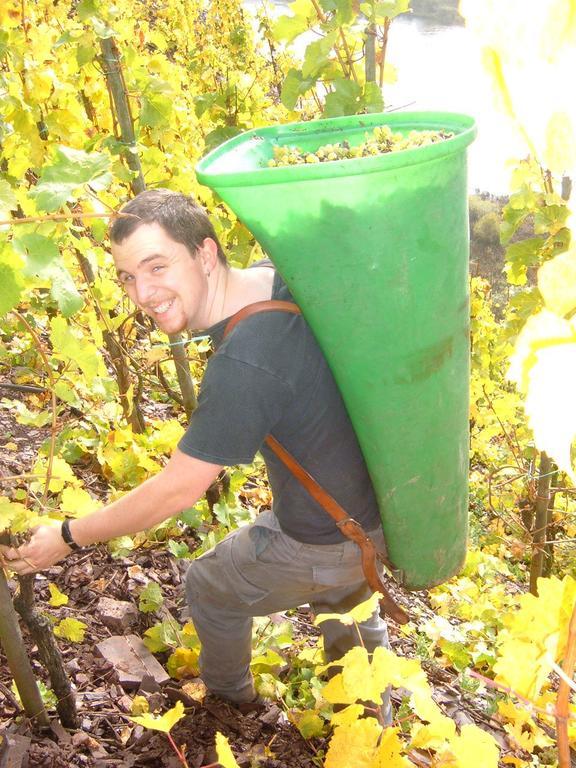 Kleines Winzerhauschen Villa Bremm Oda fotoğraf