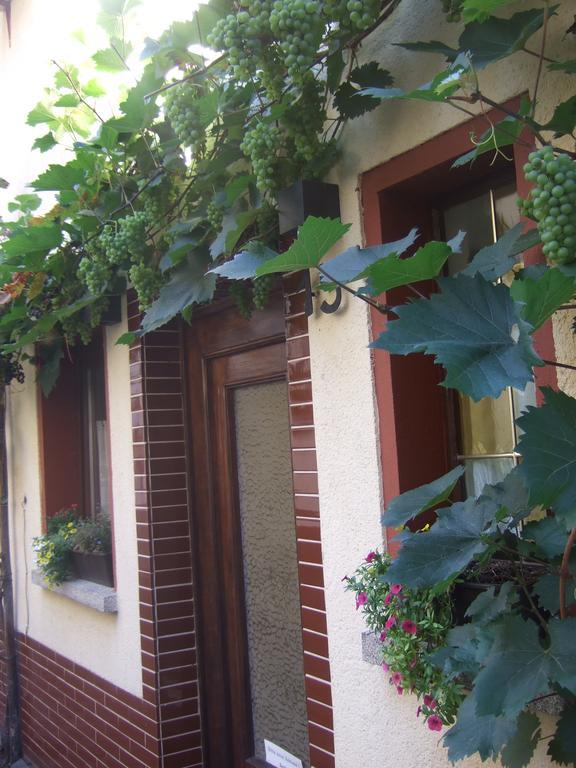 Kleines Winzerhauschen Villa Bremm Dış mekan fotoğraf