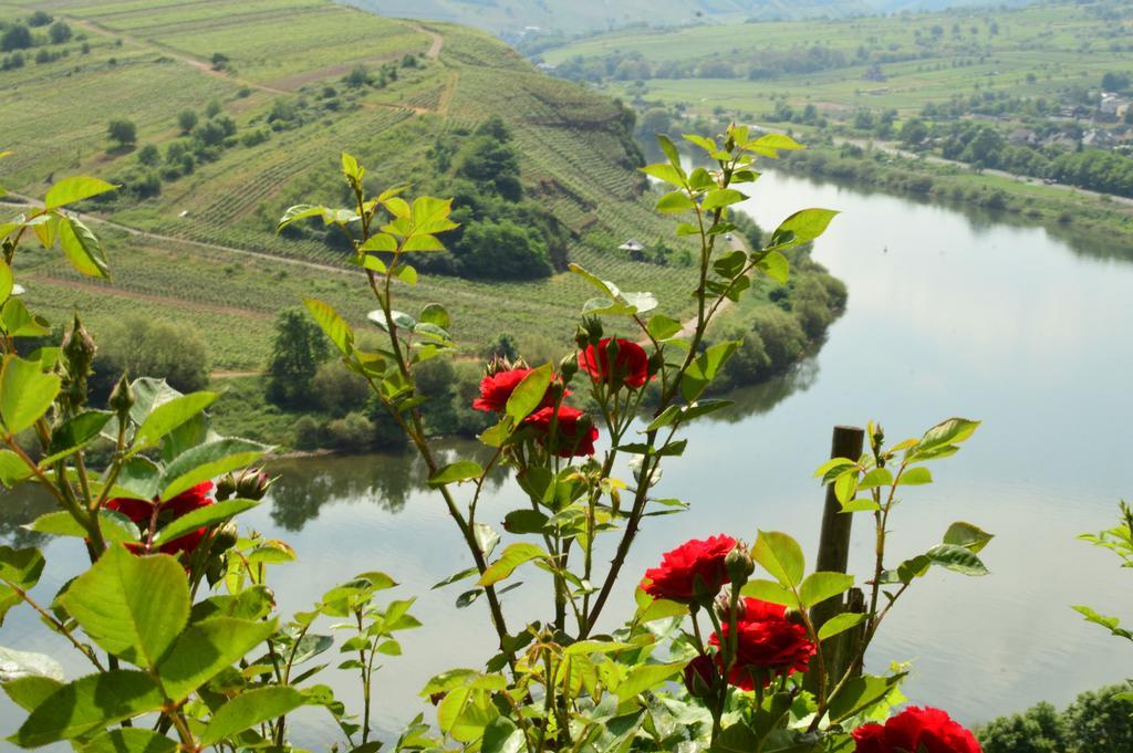 Kleines Winzerhauschen Villa Bremm Dış mekan fotoğraf